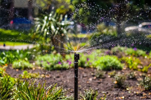 Watering System Maintenance