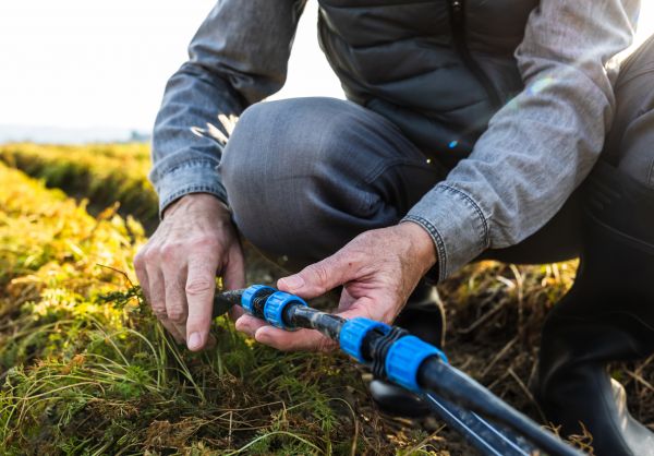 Lawn Irrigation Programming
