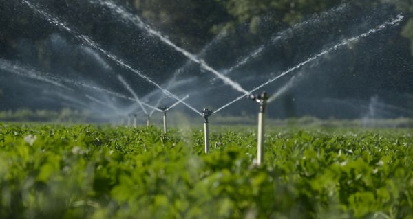 Irrigation System Programming