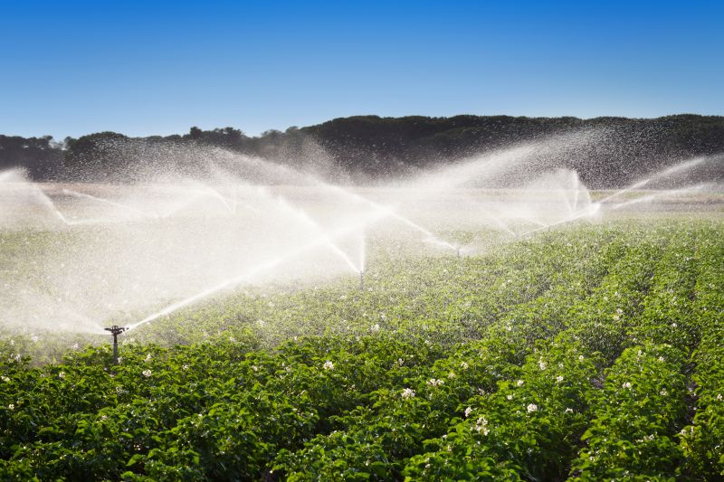 Crop Irrigation Installation in Ventura County, CA