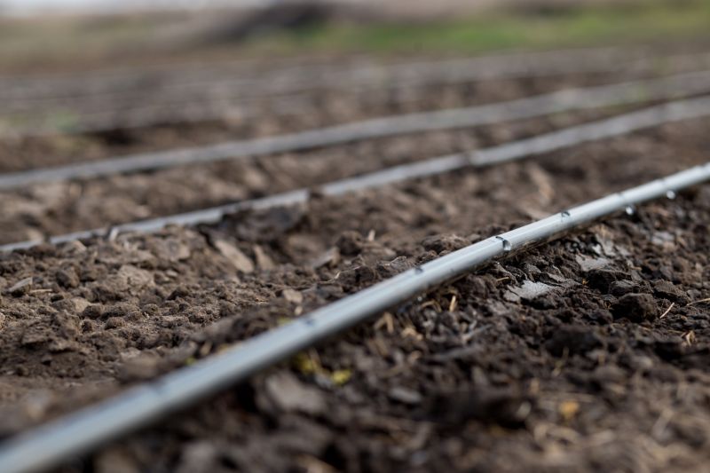 Irrigation Service in Ventura County, CA