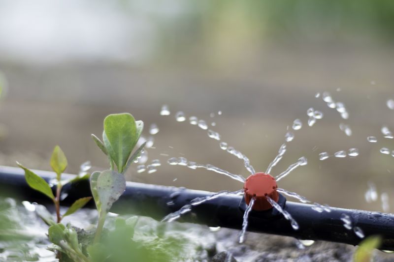 Mist Irrigation Installation in Ventura County, CA